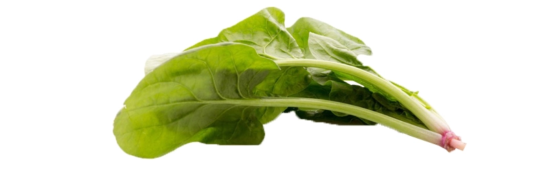 Sodium Copper Chlorophyllin .jpg